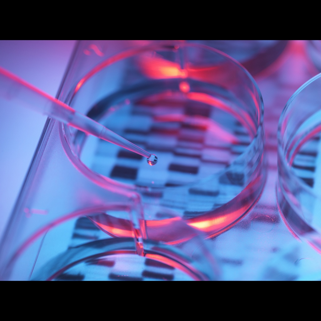 1×dsDNA HS Assay Kit-500T