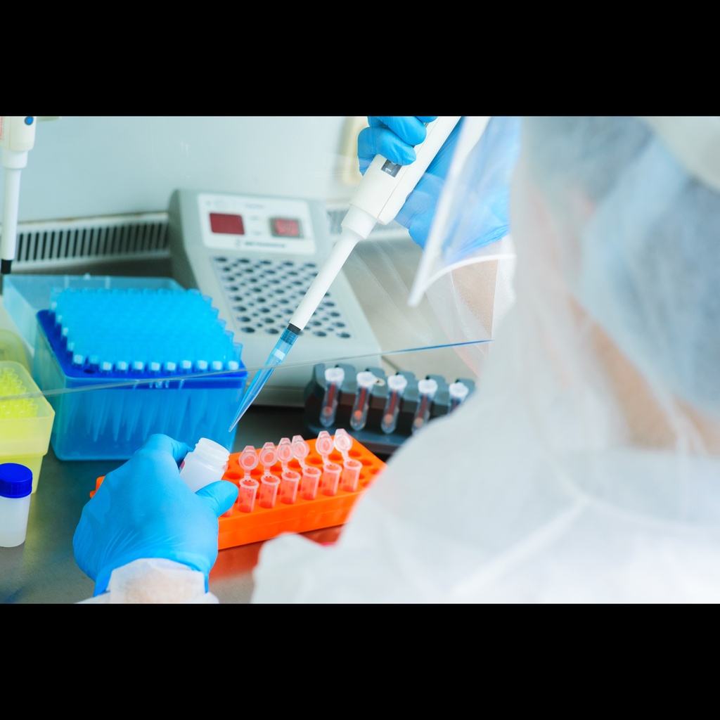 Feline calicivirus One Step PCR Kit size: 50 reactions